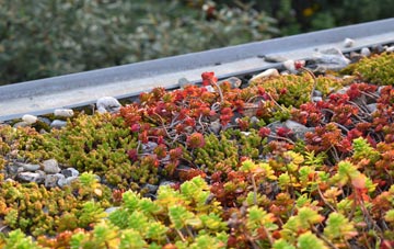 the cost of Burgh Stubbs green roof installation