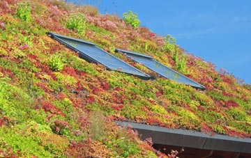 Burgh Stubbs living roof systems