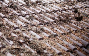 Burgh Stubbs roof cleaning companies